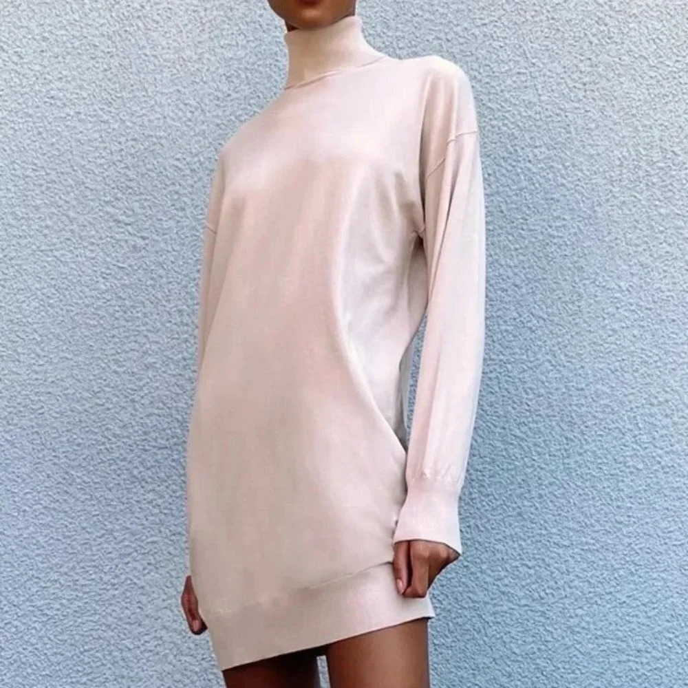 The Group by Babaton Aritzia NWT Camino Turtleneck Mini Dress in Camille Size S